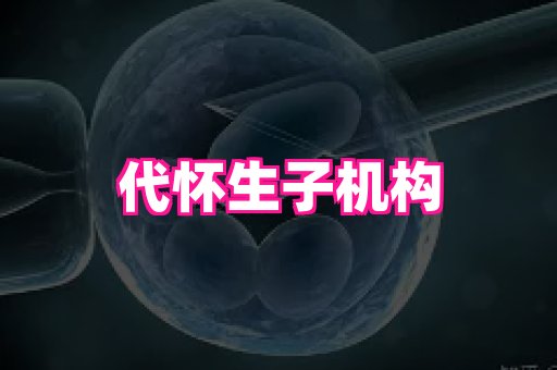 天津助孕网站 2